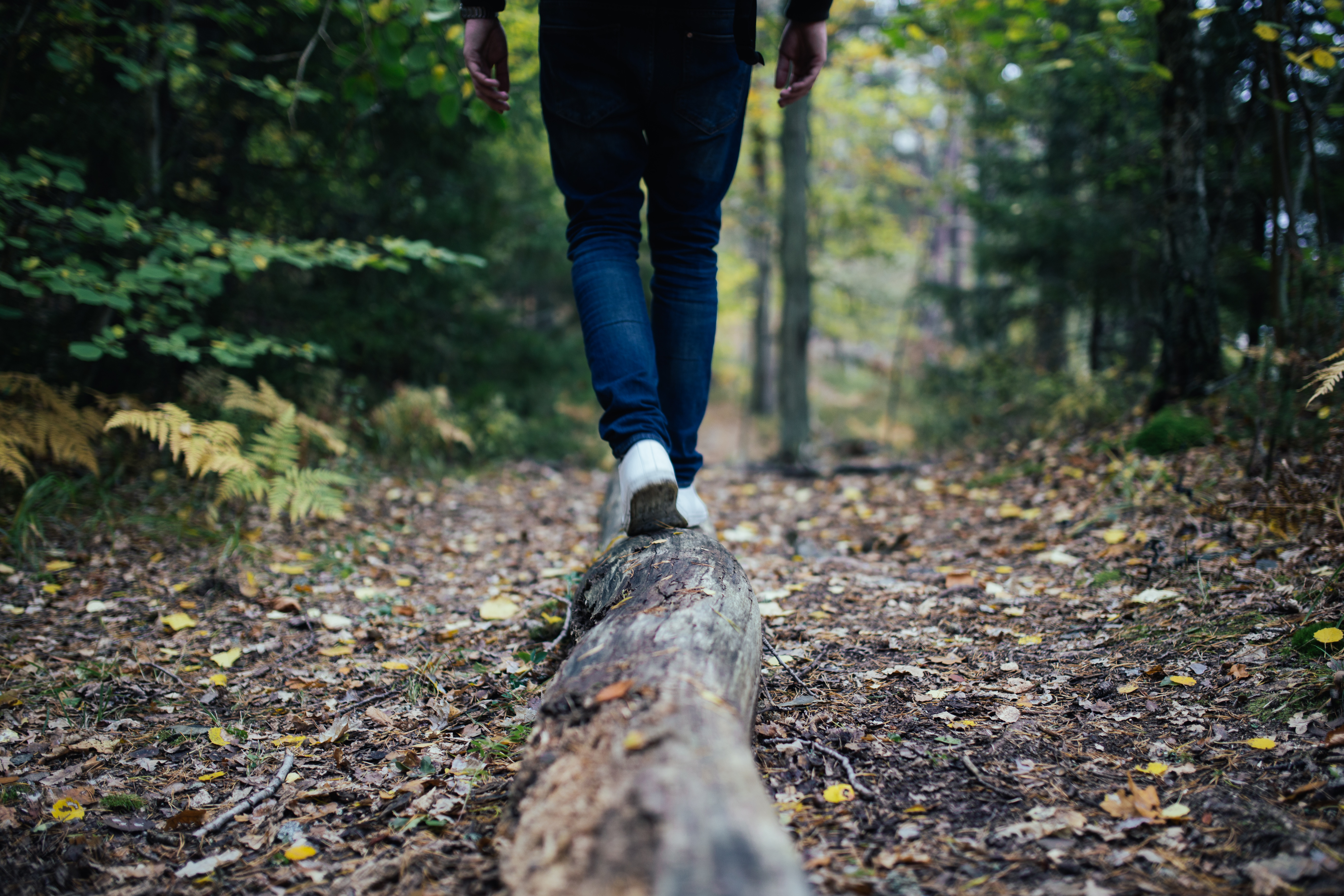NJ DBT Therapist: Learning Emotion Regulation