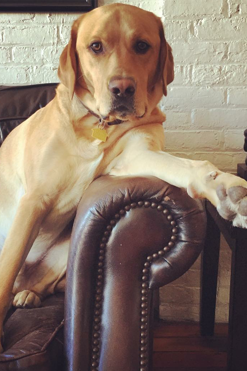 toby-crop Scott Shanley
